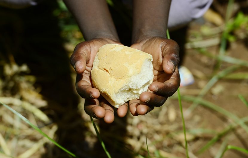 L’Afrique, premier foyer mondial de malnutrition
