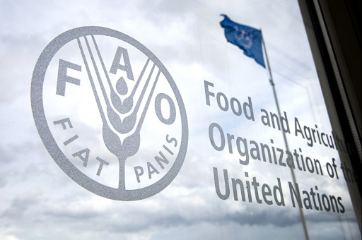 La FAO - Rapport 2020 sur le suivi des progrès accomplis dans le cadre des indicateurs des ODD liés à l’alimentation et à l’agriculture