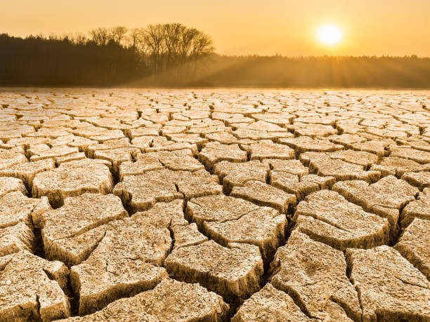 Maroc – La production agricole menacée par la sècheresse.