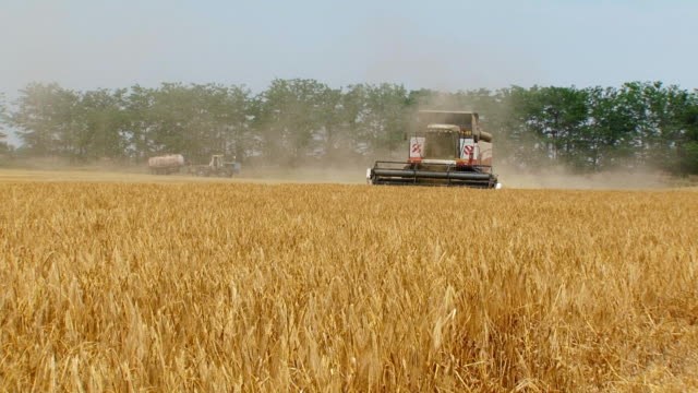 France – La récolte du maïs grain touche à sa fin.