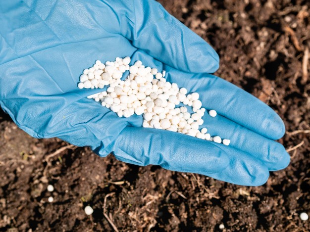 Accès aux engrais: OCP Africa et la BAD au chevet des agriculteurs ivoiriens et ghanéens