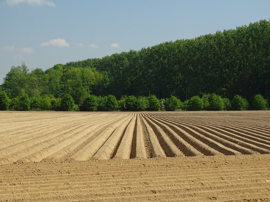 MAINMISE SUR LES TERRES AGRICOLES