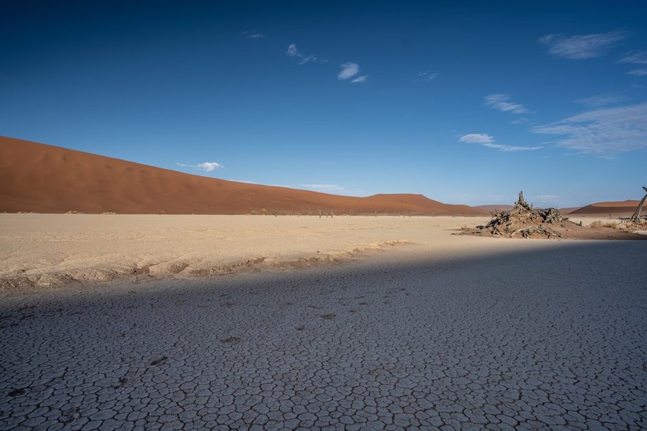 LA DURABILITÉ, SESAME D’UN FUTUR VIABLE