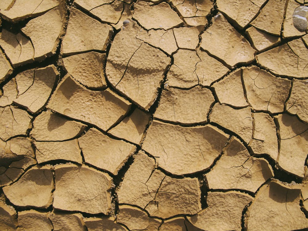 LES SOLS ET LE CLIMAT