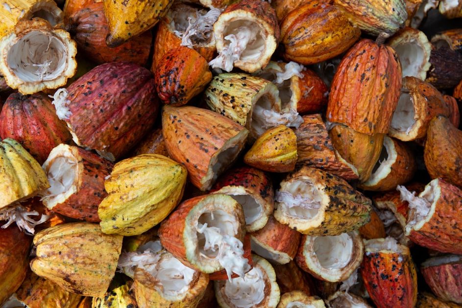 RÉÉQUILIBRER LES ÉCHANGES AGRICOLES EUROPEO-AFRICAINS