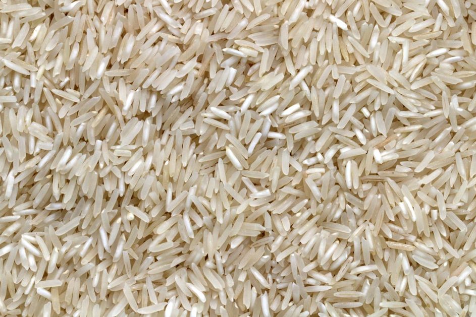 BRÉSIL : LE RIZ BIO DES SANS-TERRE.