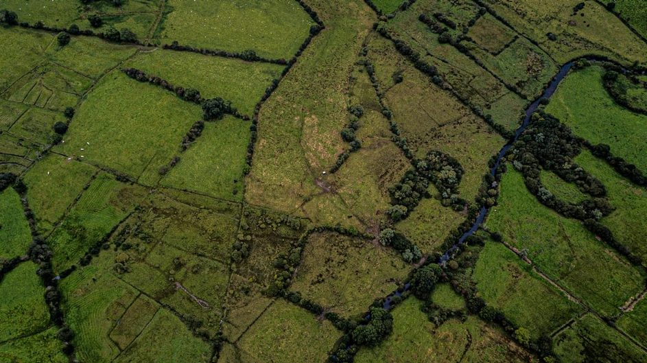 L’AGRICULTURE, SOFT POWER DES ÉTATS