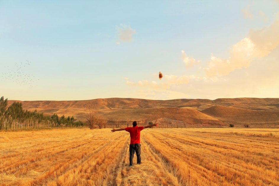 The golden future of wheat, corn...and barley
