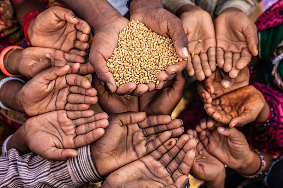 FAO IN SEARCH OF PARTNERSHIPS