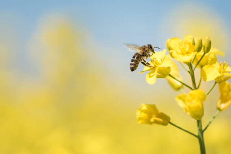 Histoire d’une conversion à l’agriculture raisonnée