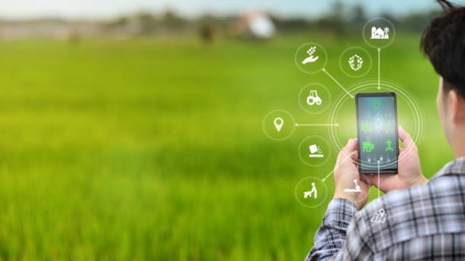 Une sonde capacitive pour piloter l’irrigation