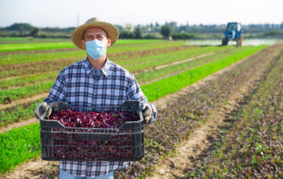 La souveraineté agricole
