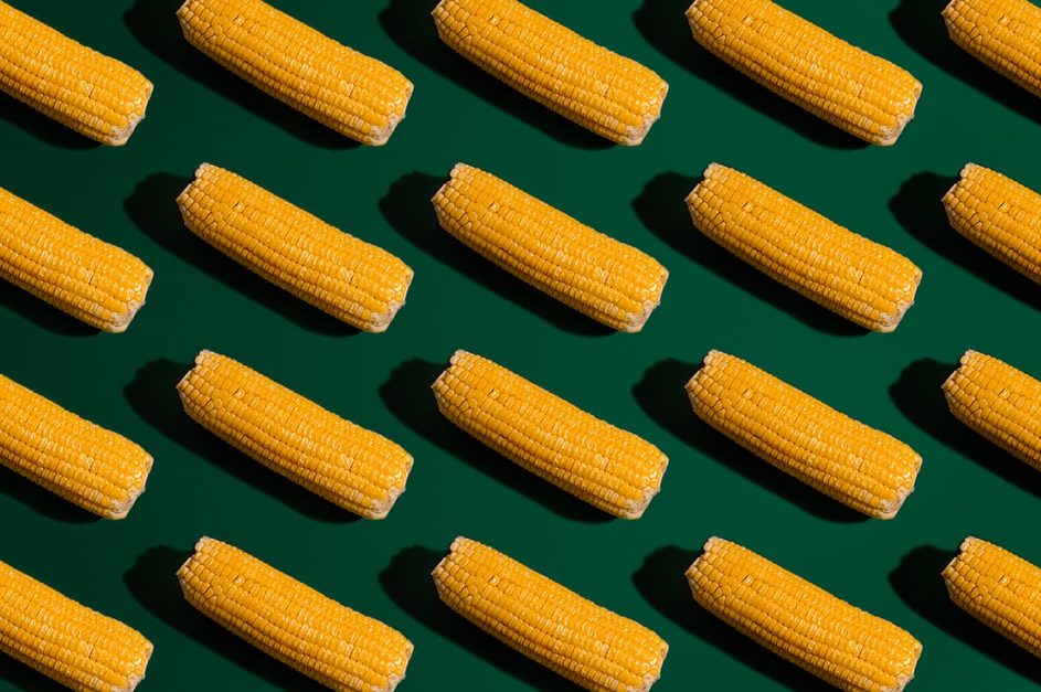 Les cours des céréales poursuivent leur ascension
