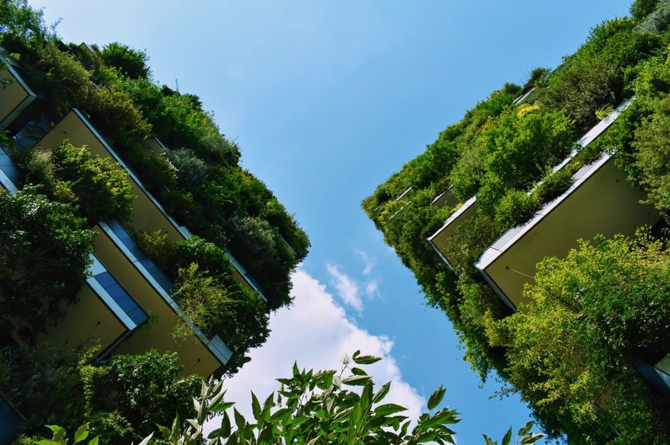 Ambitieux projet émirati de ville verte agritech
