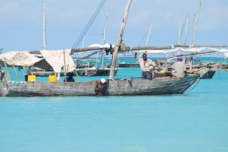 Les ressources halieutiques ouest-africaines menacées par la surexploitation