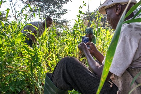 Le laborieux financement de la filière agroalimentaire en Afrique