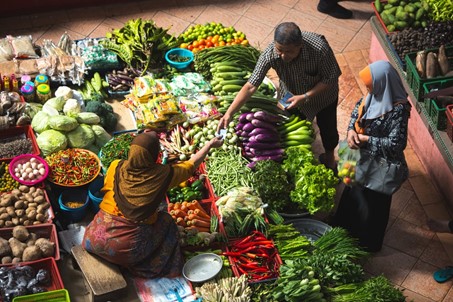 REPENSER LES STRATÉGIES AGROALIMENTAIRES   