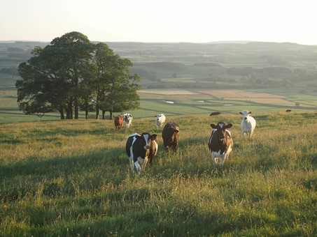 Agriculteurs, les nouveaux influenceurs