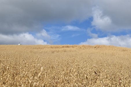Farm to Fork, au défi de la globalisation