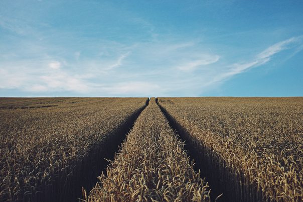 CURBING LAND GRABBING BY FOREIGN STATES AND GROUPS