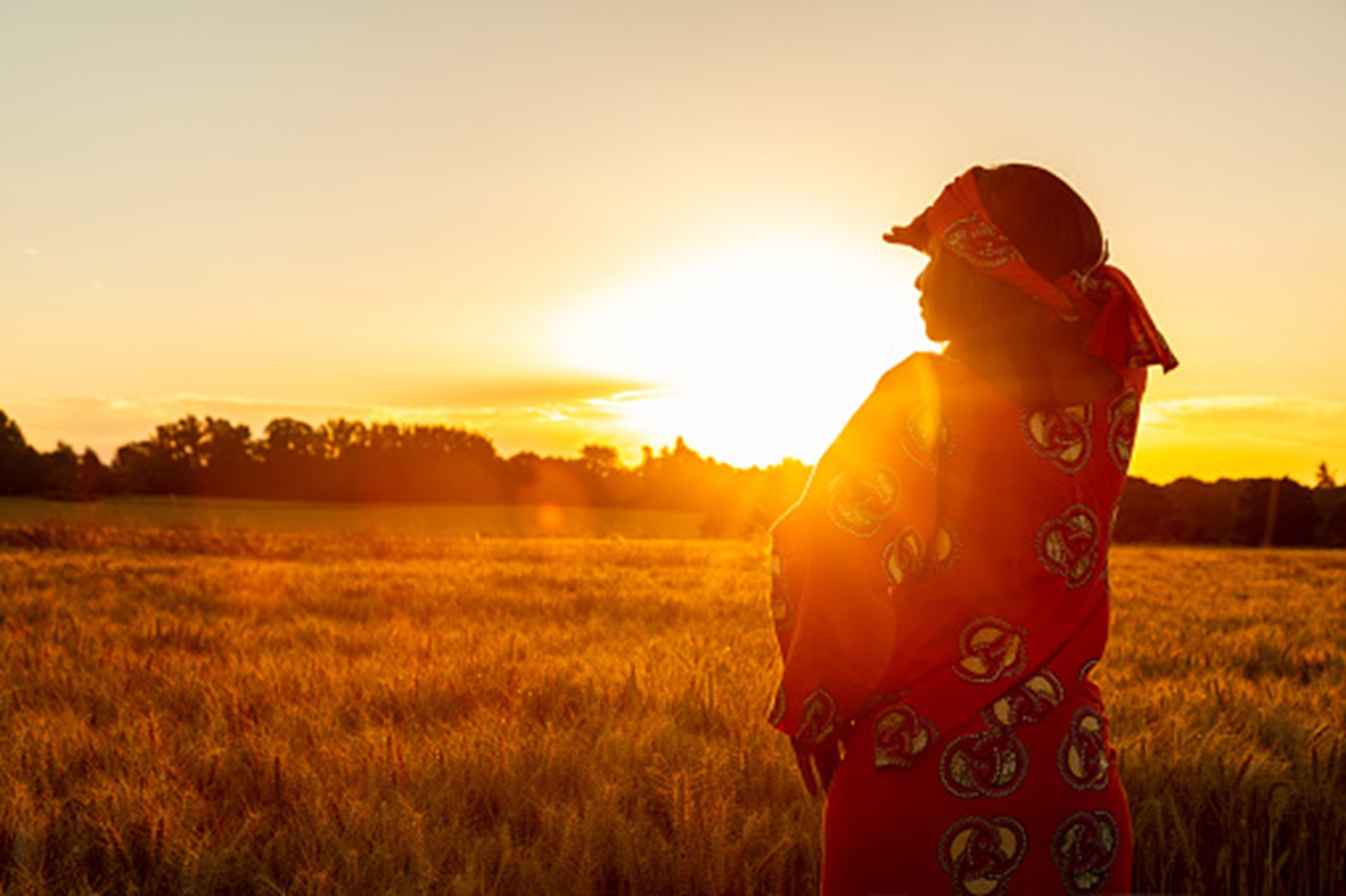 L’assurance climatique agricole