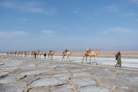  Sécheresse et famine dans la Corne de l’Afrique
