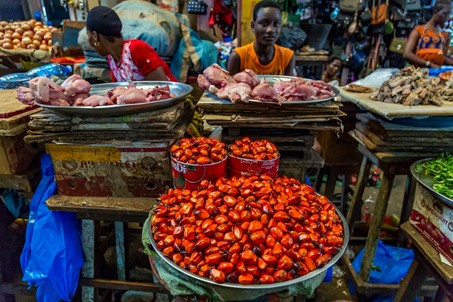 La Côte d’Ivoire et OCP signent un partenariat agricole