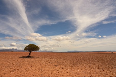 La Waterboxx pour l’agriculture en zone aride