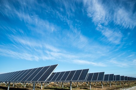 Les bénéfices incertains du photovoltaisme pour l’agriculture