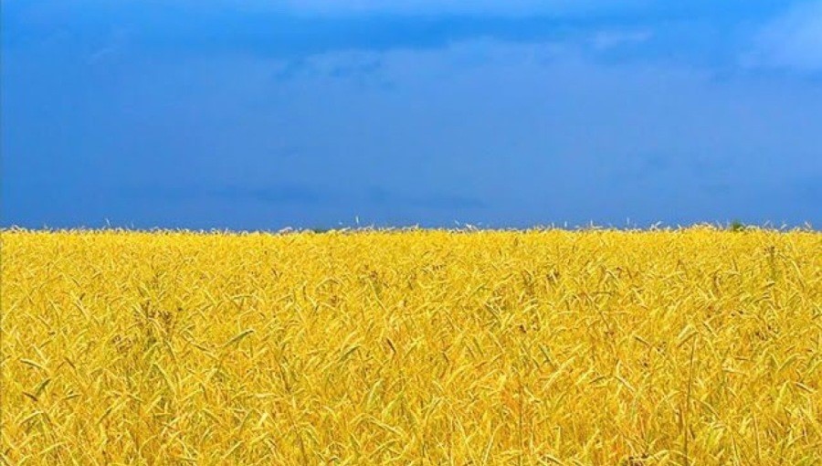 La guerre en Ukraine et la sécurité alimentaire en Afrique Par : Noureddine Radouai