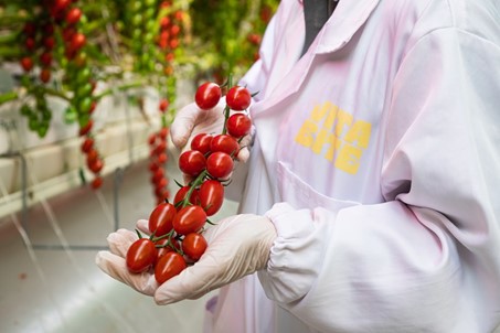 L’opportunité des fermes verticales
