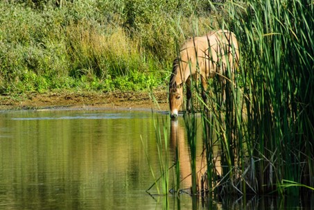 Mieux exploiter les eaux souterraines