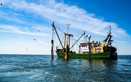 Blue transformation, la stratégie de la FAO pour une pêche durable