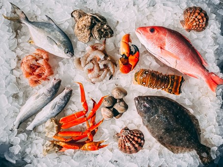 Une chambre froide pour conserver le poisson et … les revenus des pêcheurs face à la COVID
