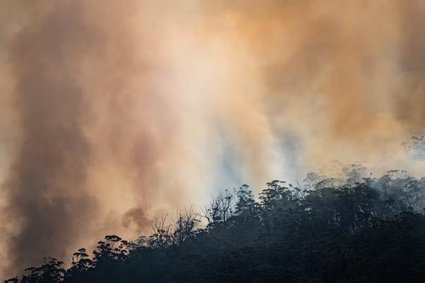 L’Afrique face à la question climatique