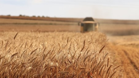Agriculture 4.0
