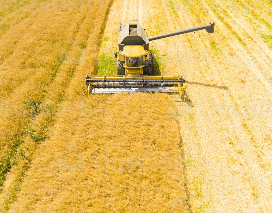 Géopolitique : le pouvoir de l’arme alimentaire