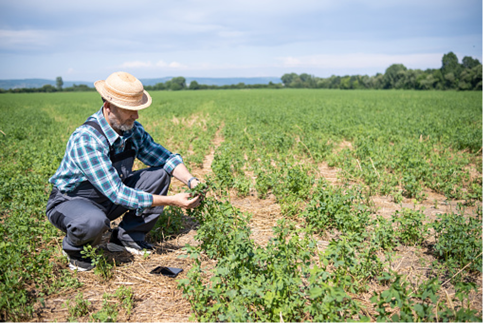 La biodiversité, facteur d’amélioration et de protection des sols