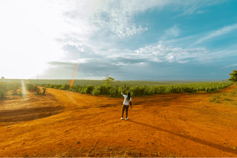 Investir plus dans le système agroalimentaire africain