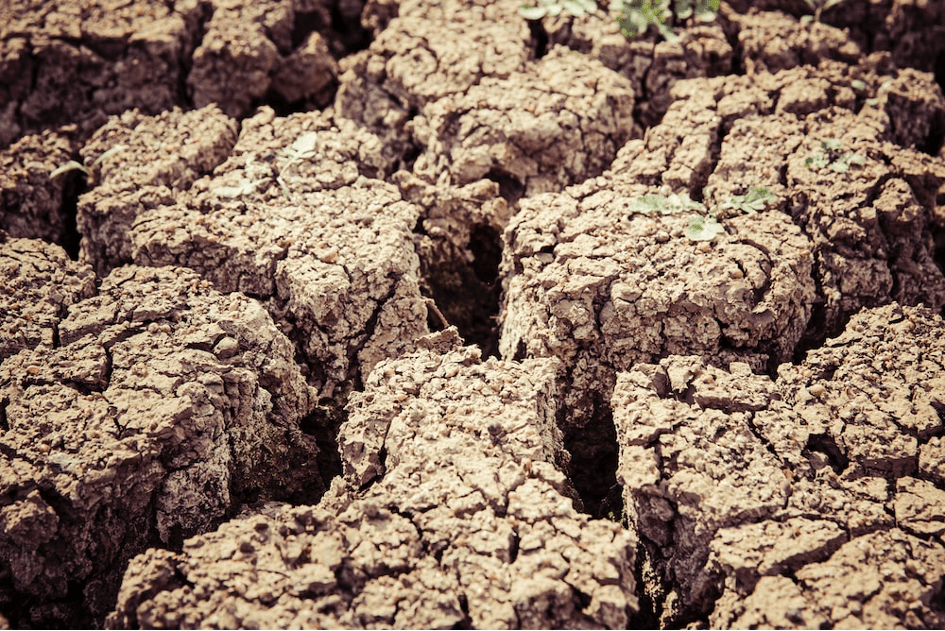 Espagne : des systèmes d’irrigation millénaires pour lutter contre la sécheresse