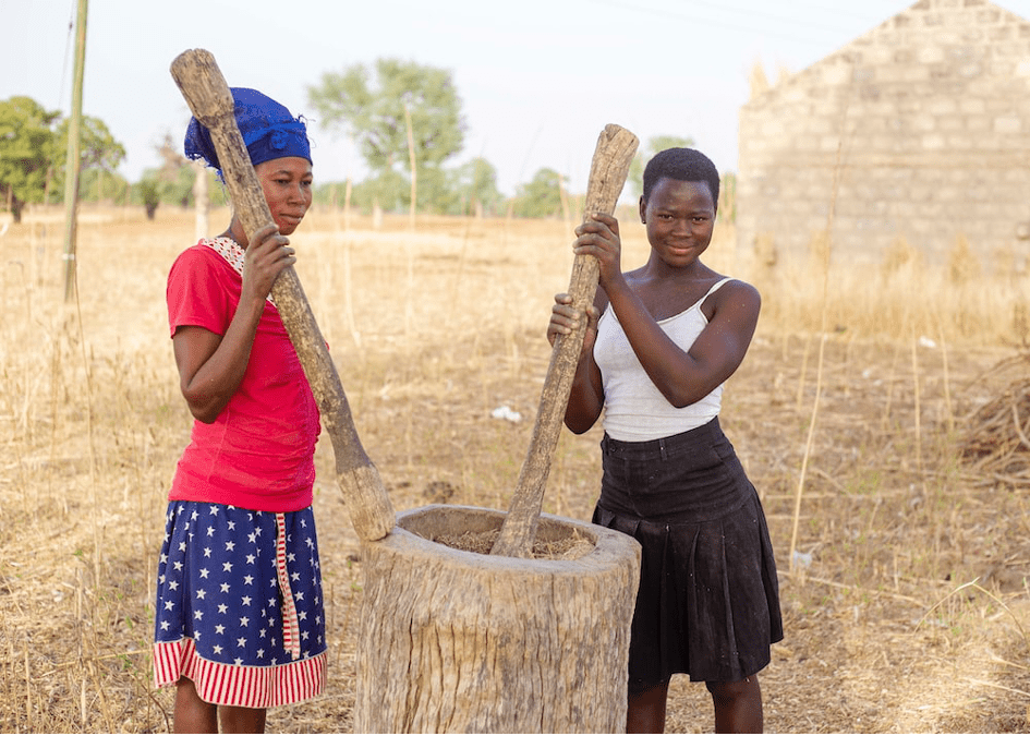 L’agriculture durable doit s’appuyer sur le mil