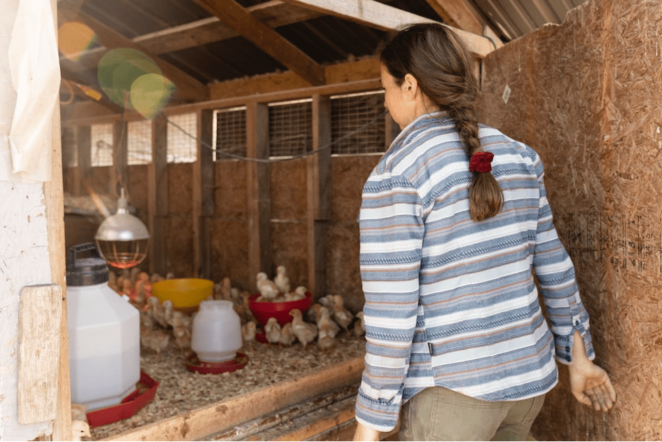 Mutualiser les terres agricoles