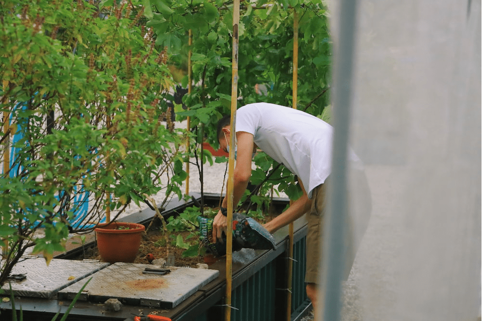 Adapting urban agriculture