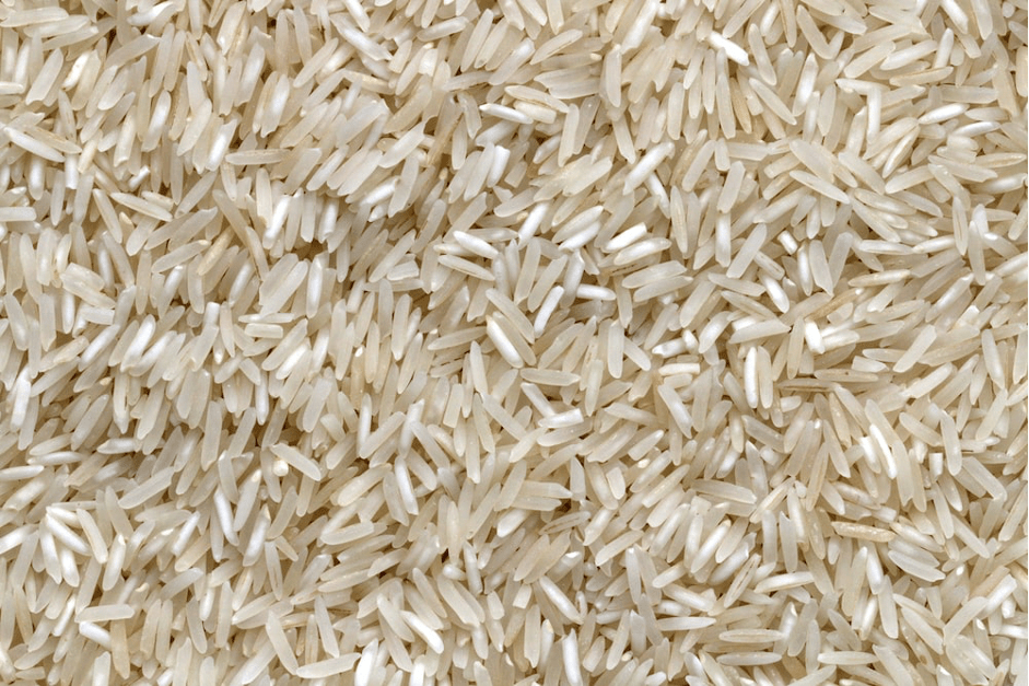 La Corée du Sud sponsorise une rice belt africaine