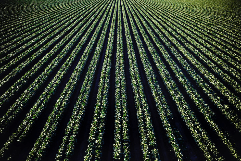 Perspectives agricoles à l’horizon 2032