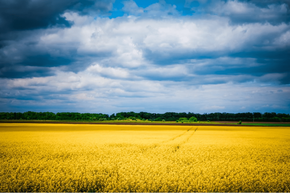 Plan for demining agricultural lands in Ukraine