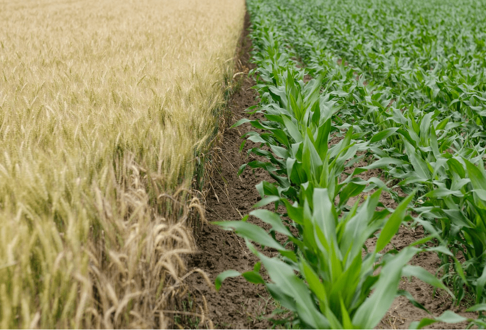 Faciliter la pratique de l’agriculture de précision