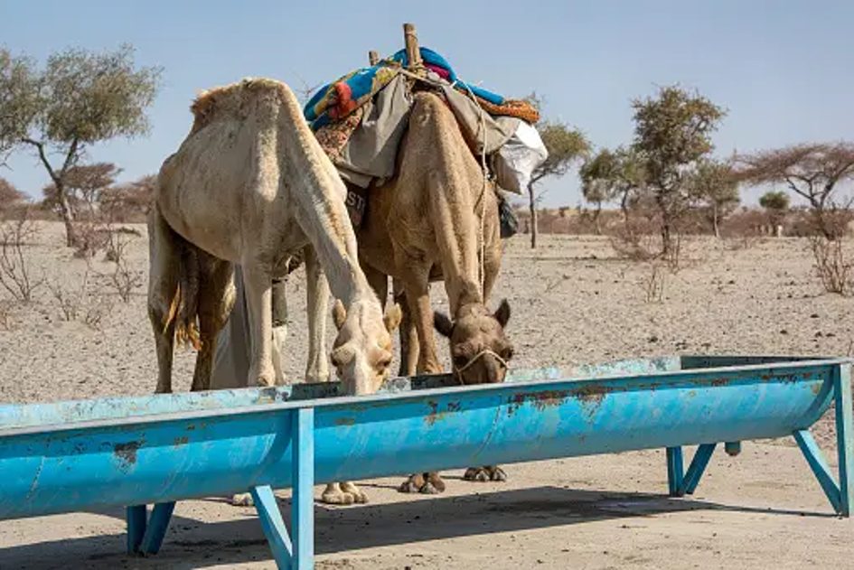 $40 millions pour la mise en œuvre d’actions climatiques en Afrique