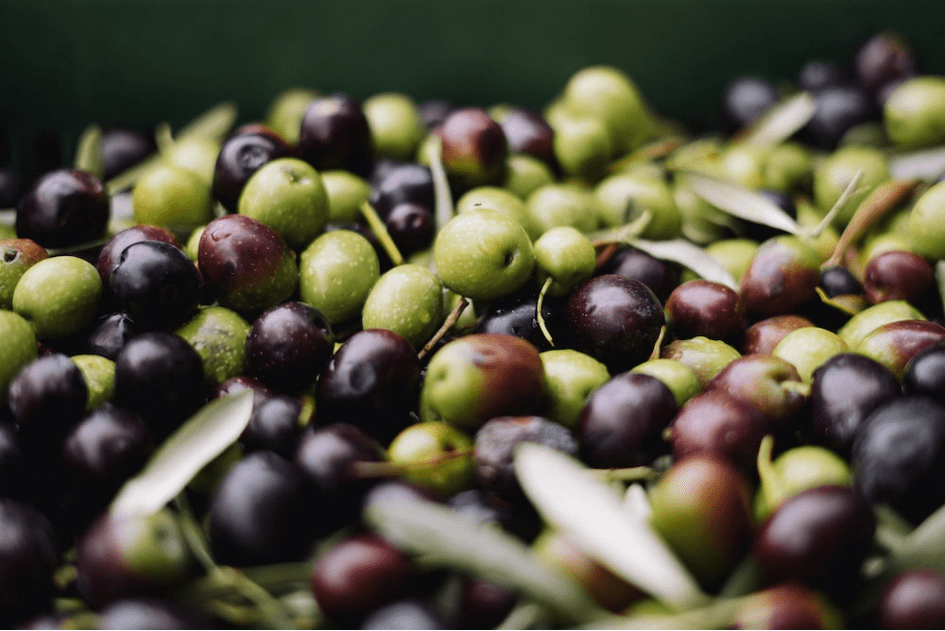 Tunisian Olive Oil Exports Thrive