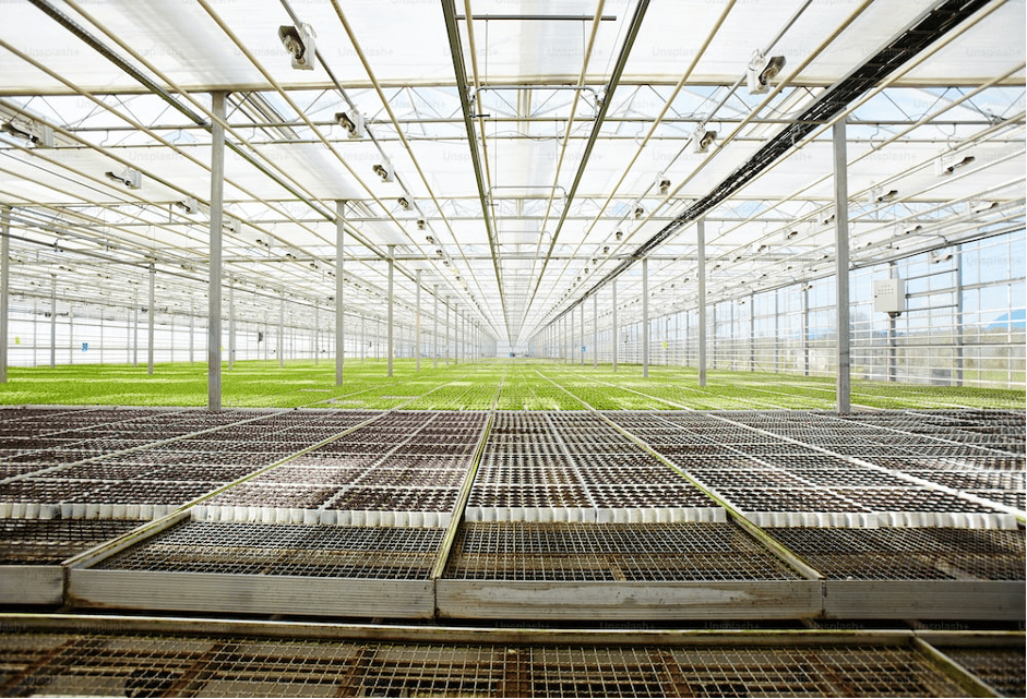 Hydroponics Requires Specific Fertilizers